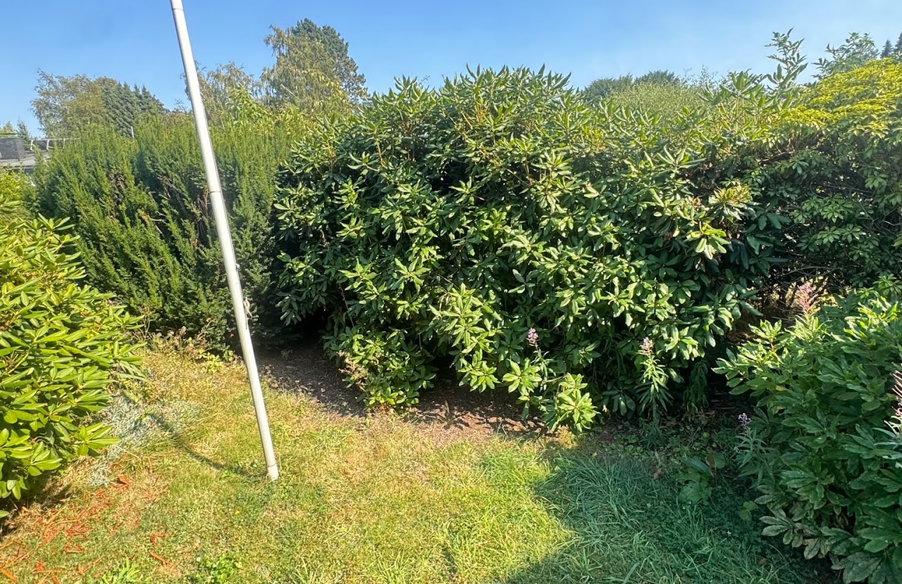 Garten nach den Pflegearbeiten